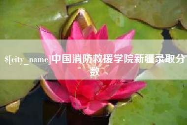 黔南中国消防救援学院新疆录取分数