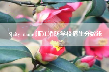 黔南浙江消防学校招生分数线
