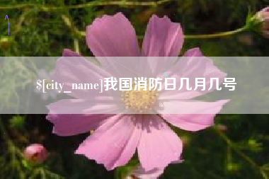 黔南我国消防日几月几号