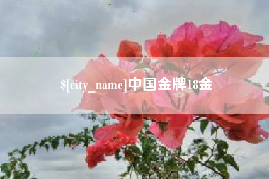 黔南中国金牌18金
