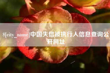 黔南中国失信被执行人信息查询公开网址