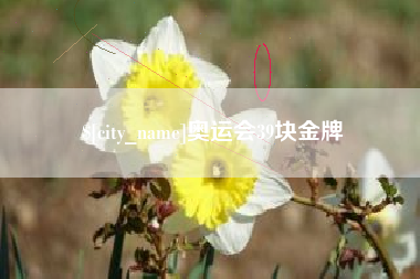 黔南奥运会39块金牌