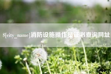 黔南消防设施操作员证书查询网址