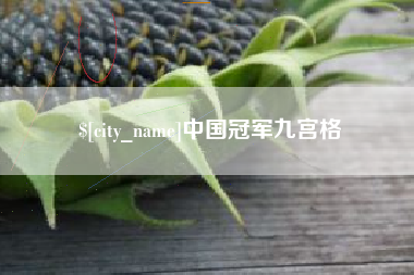 黔南中国冠军九宫格