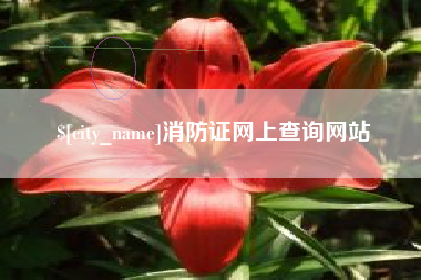 黔南消防证网上查询网站