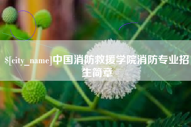 黔南中国消防救援学院消防专业招生简章