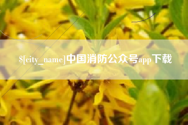 黔南中国消防公众号app下载