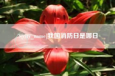 黔南我国消防日是哪日