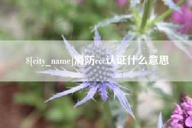 黔南消防ccc认证什么意思