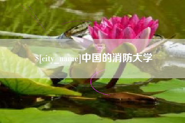 黔南中国的消防大学