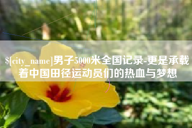 黔南男子5000米全国记录-更是承载着中国田径运动员们的热血与梦想