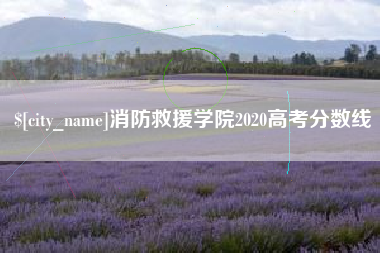 黔南消防救援学院2020高考分数线