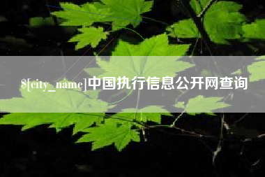 黔南中国执行信息公开网查询