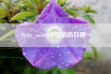 黔南全国消防日哪一