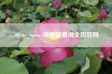 黔南消防证查询全国联网