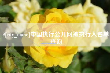 黔南中国执行公开网被执行人名单查询
