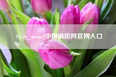 黔南中国消防网官网入口