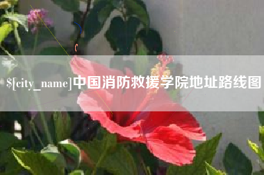 黔南中国消防救援学院地址路线图