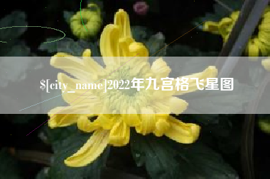 黔南2022年九宫格飞星图