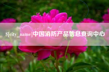 黔南中国消防产品信息查询中心