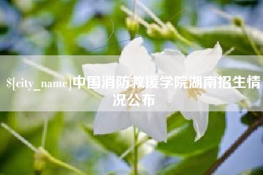 黔南中国消防救援学院湖南招生情况公布