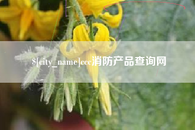 黔南ccc消防产品查询网