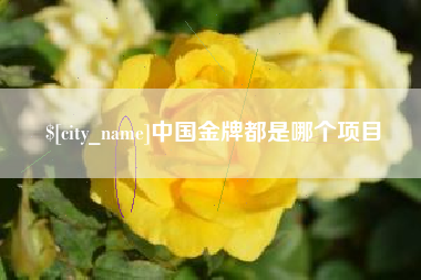 黔南中国金牌都是哪个项目