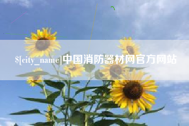 黔南中国消防器材网官方网站