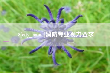 黔南消防专业视力要求