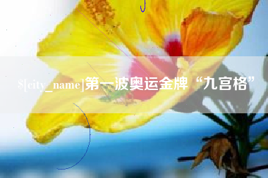 黔南第一波奥运金牌“九宫格”