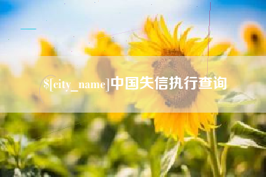 黔南中国失信执行查询