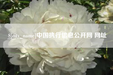 黔南中国执行信息公开网 网址