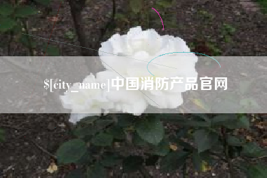 黔南中国消防产品官网
