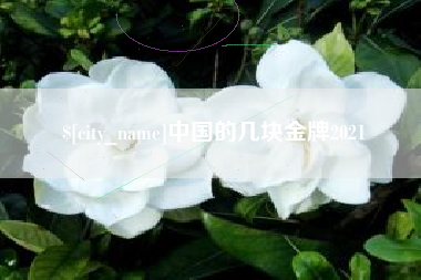 黔南中国的几块金牌2021