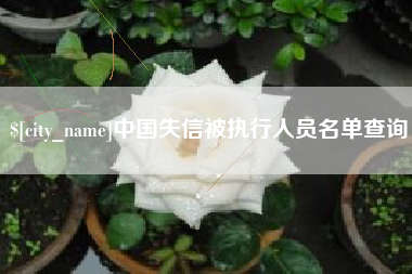 黔南中国失信被执行人员名单查询