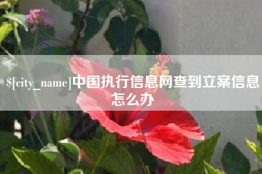 黔南中国执行信息网查到立案信息怎么办