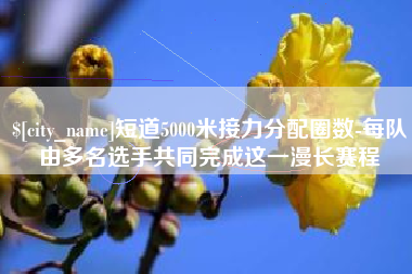 黔南短道5000米接力分配圈数-每队由多名选手共同完成这一漫长赛程