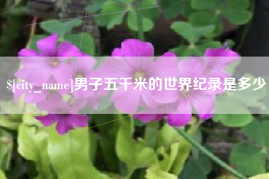 黔南男子五千米的世界纪录是多少