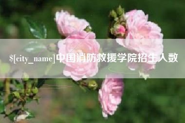 黔南中国消防救援学院招生人数