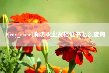 黔南消防职业资格证书怎么查询