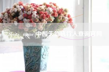 黔南中国失信执行人查询官网