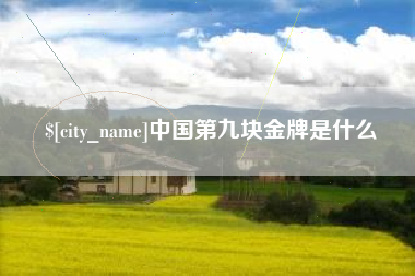 黔南中国第九块金牌是什么