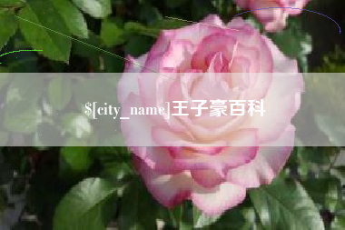 黔南王子豪百科