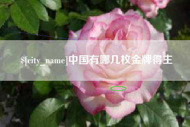 黔南中国有哪几枚金牌得主