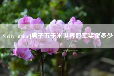 黔南男子五千米世界冠军奖金多少