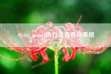 黔南执行公告查询系统
