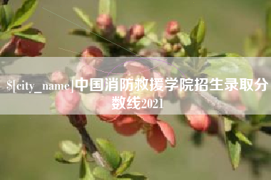 黔南中国消防救援学院招生录取分数线2021