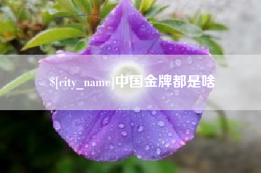 黔南中国金牌都是啥