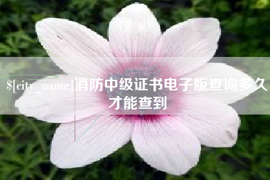 黔南消防中级证书电子版查询多久才能查到