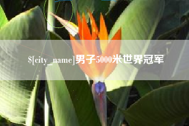 黔南男子5000米世界冠军
